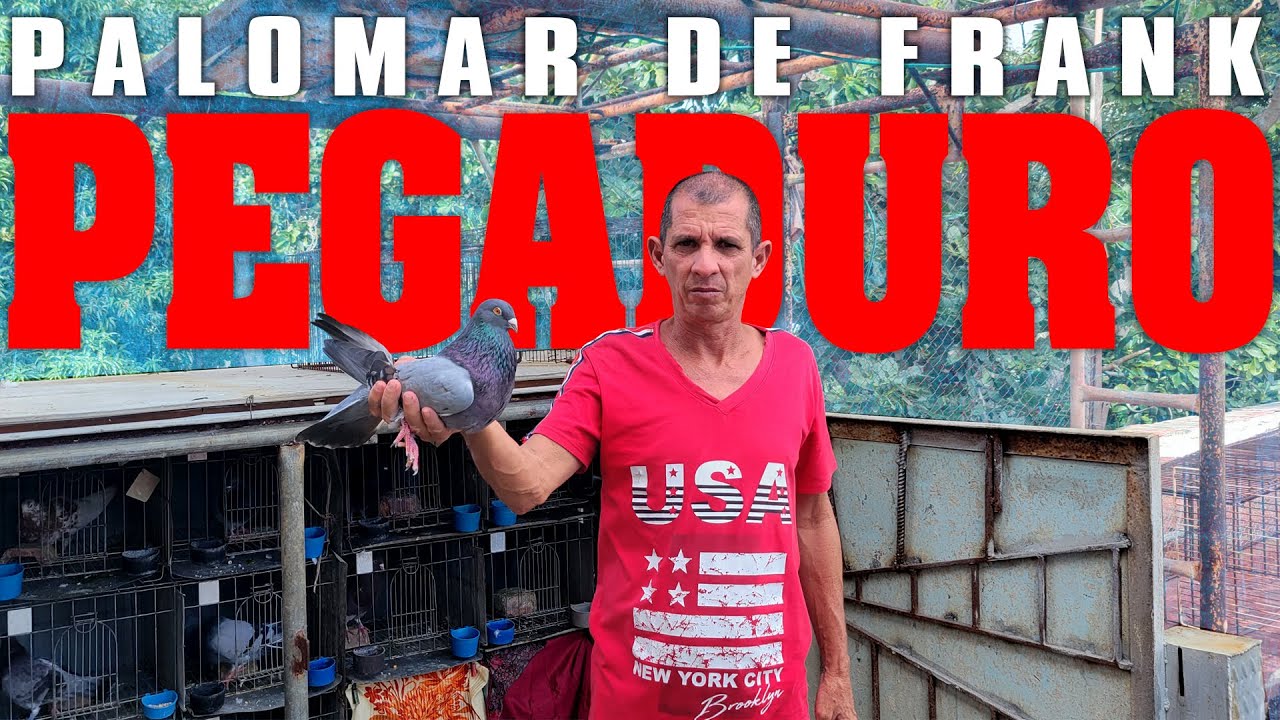 PALOMAR DE UNA LEYENDA.  FRANK PEGADURO en PA' LA PALOMA