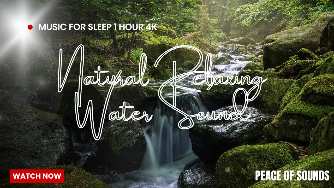 Forest stream sounds with birds singing for sleeping, Stress Relief Music Calm Music #calmingmusic 