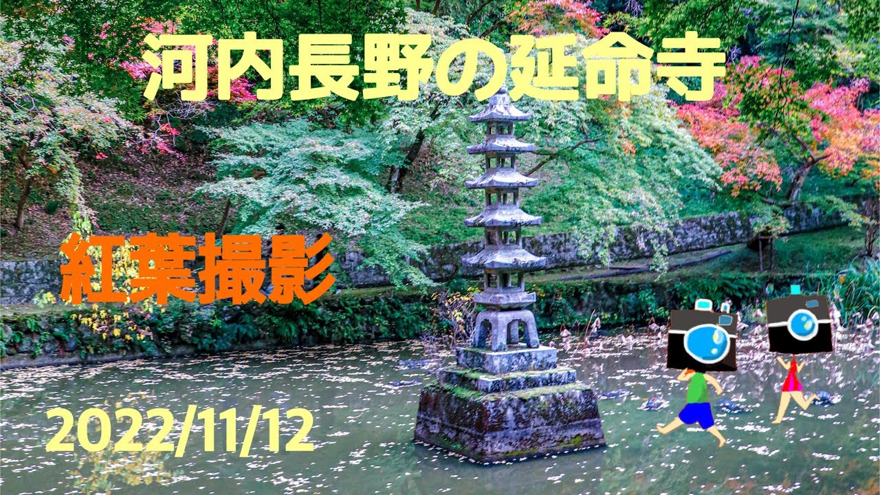 大阪府河内長野市の延命寺へ紅葉撮影に行ってきました！#写真撮影 #写真撮ってる人と繋がりたい #紅葉スポット
