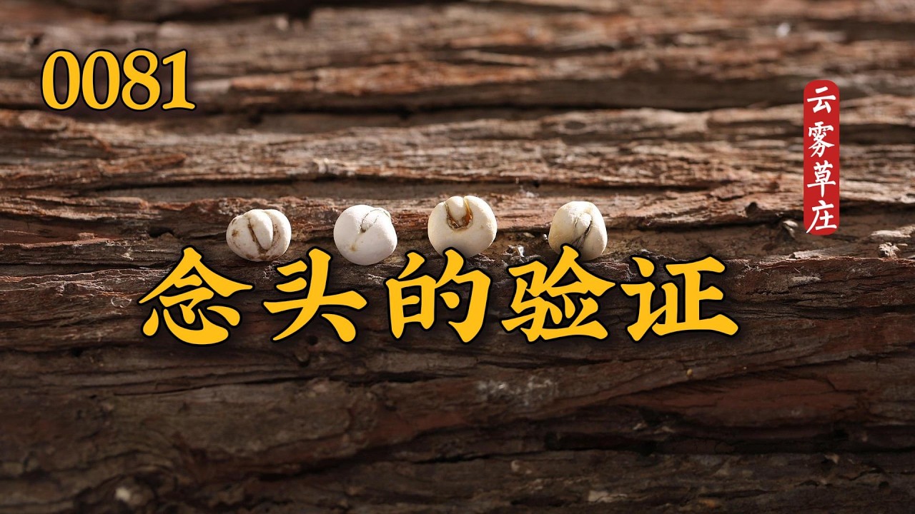 0081  念头的验证