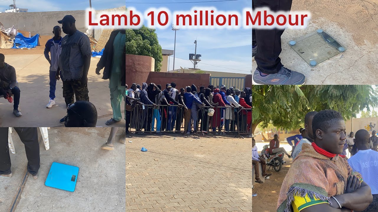 😭Balance lamb 10 millions mbour ak Rang bou metti 