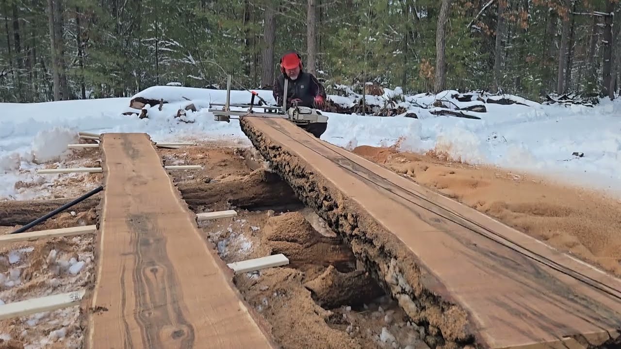 16ft Black Oak slabs tabletops and counter tops #forest #logging #milling
