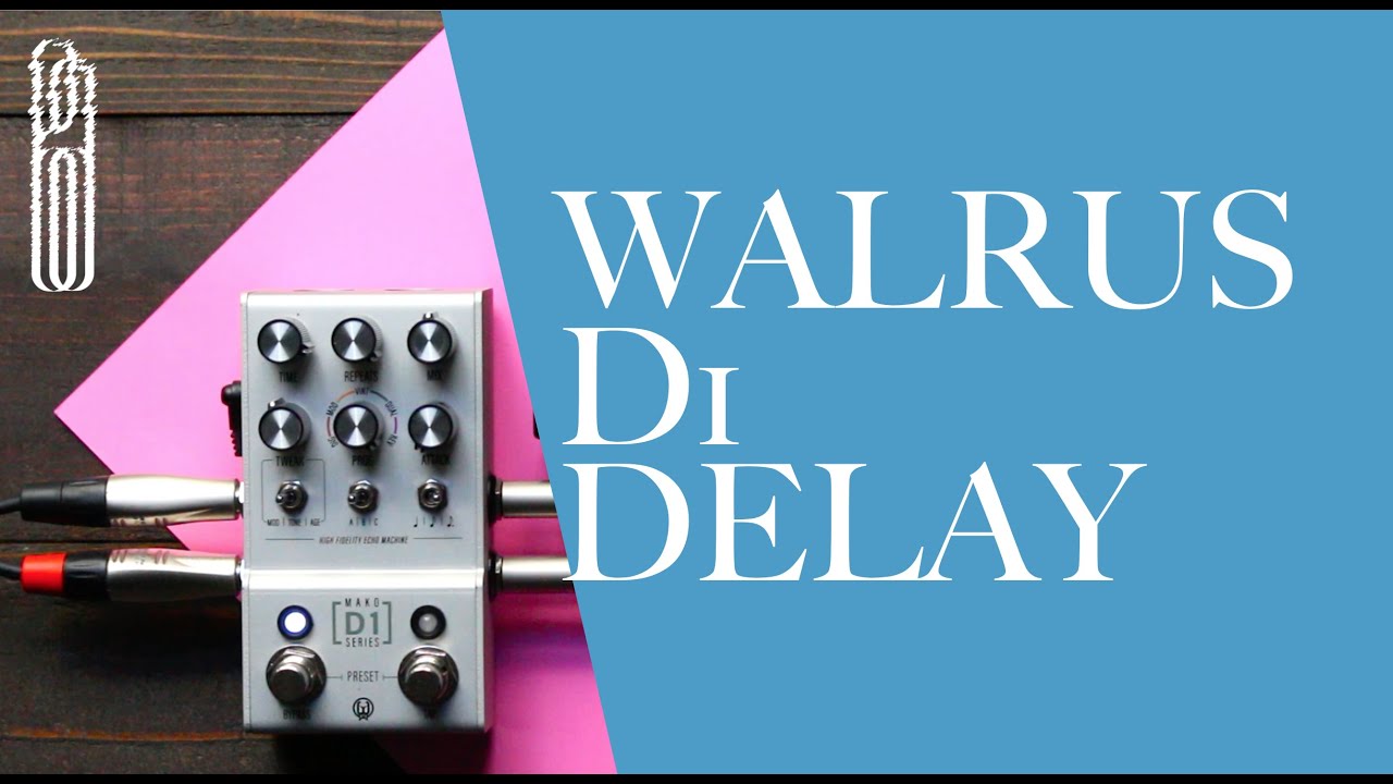 How I Use WALRUS D1 DELAY // Distortion and Tape Delay Emulation in Stereo