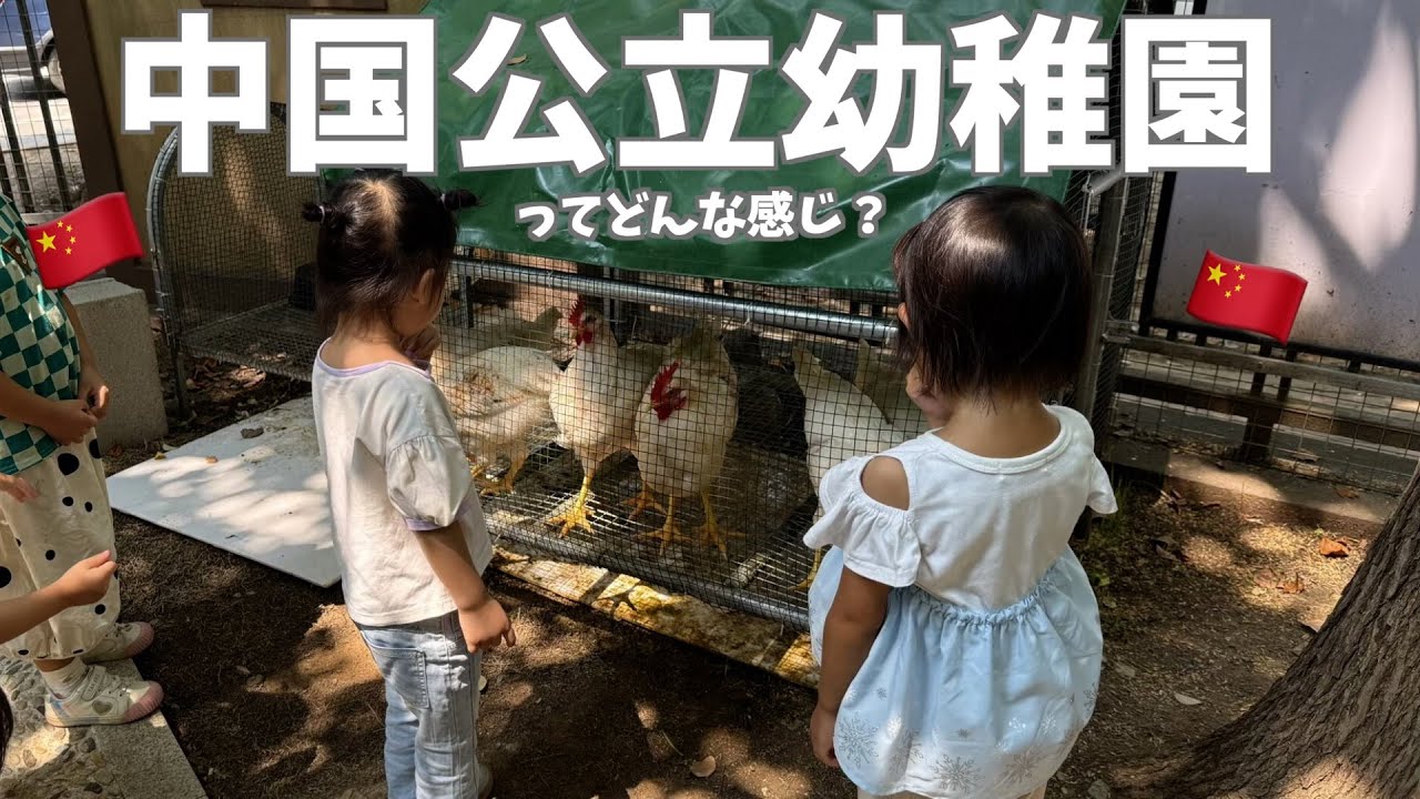 中国の公立幼稚園ってどんな感じ？日本と中国両方通って感じた違い