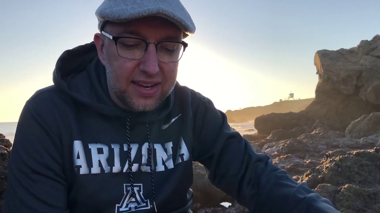 Chapter 52 - The Albatross - Grant Peterson