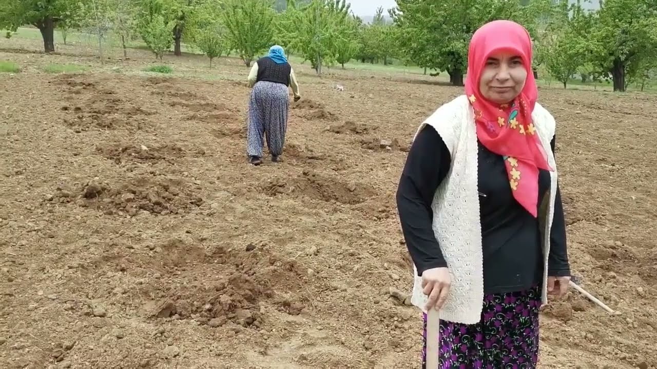 SEVDİM AMA DİYEMEDİM SEVDİM SENİ GÜZELİM BU SEVDAMIZ GİZLİ KALSIN AYRILMANIN VAKTİMİYDİ BİR GÜZEL SV
