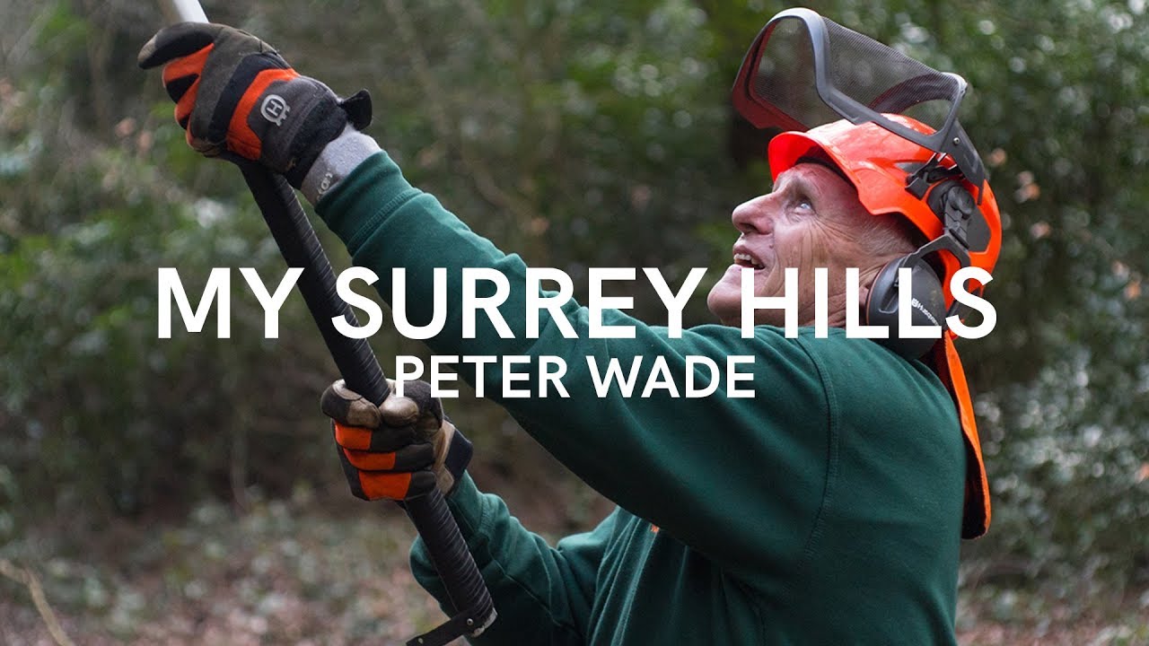 Peter Wade | #MySurreyHills