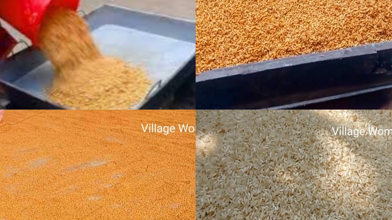 ধান থেকে ভাতের চাল তৈরি করার ঘরোয়া পদ্ধতি || @villagewomanscooking