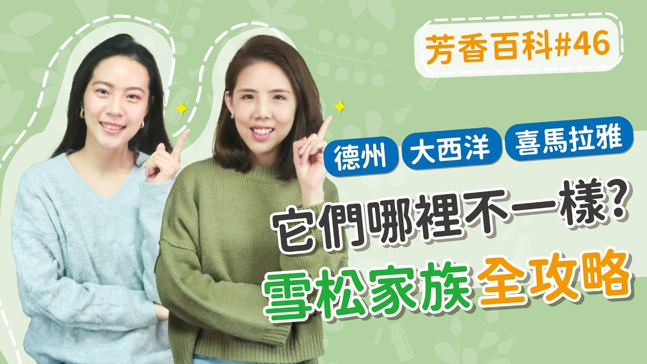 好多雪松精油 它們哪裡不一樣? 雪松家族全攻略