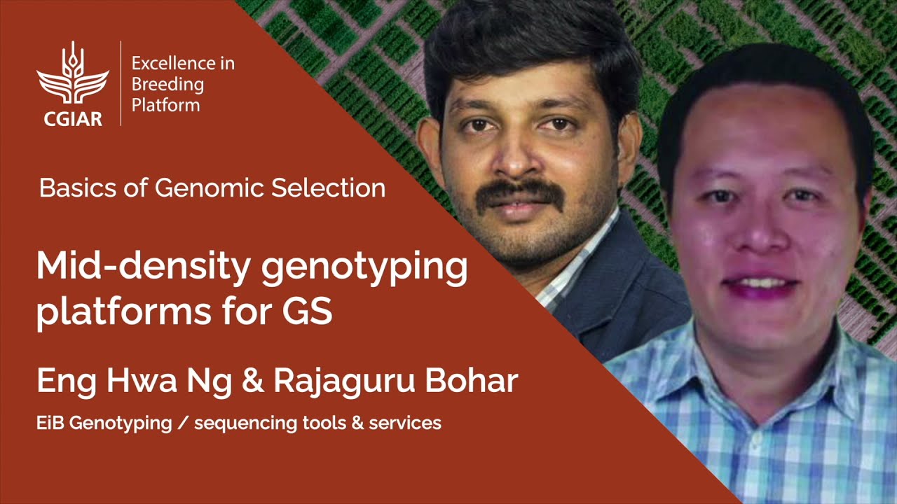 Basics of Genomic Selection 5. Mid-density Genotyping