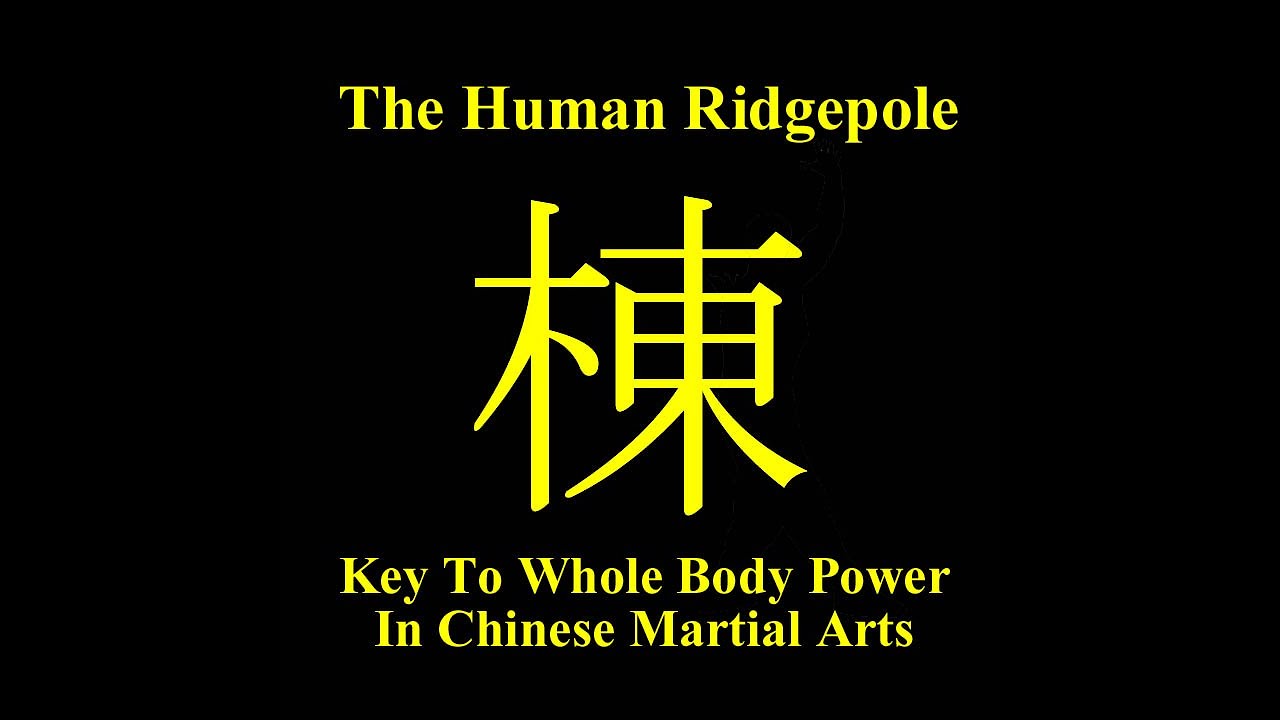 Internal Arts University Lesson The Ridge Pole for Internal Power