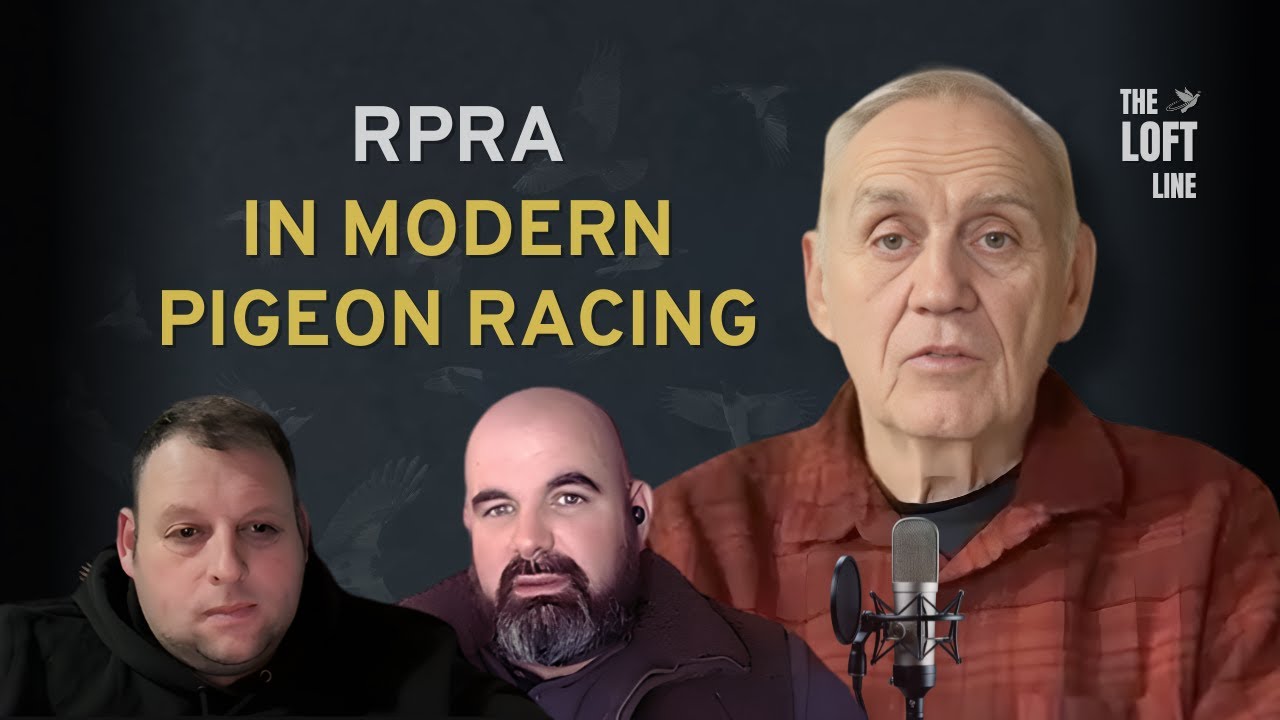 The RPRA Debate: Modern Pigeon Racing, Lib Sites & Big Questions