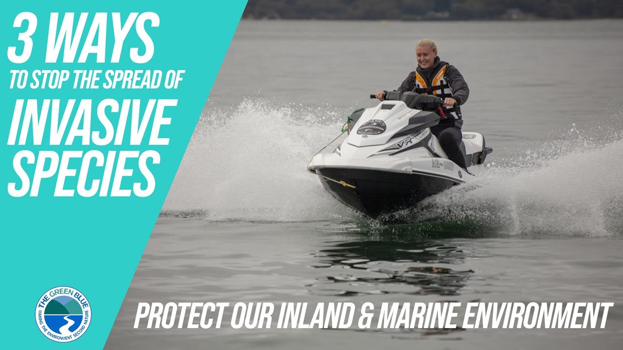 PWC - 3 WAYS TO STOP THE SPREAD OF INVASIVE SPECIES Protect  Inland & Marine Environment