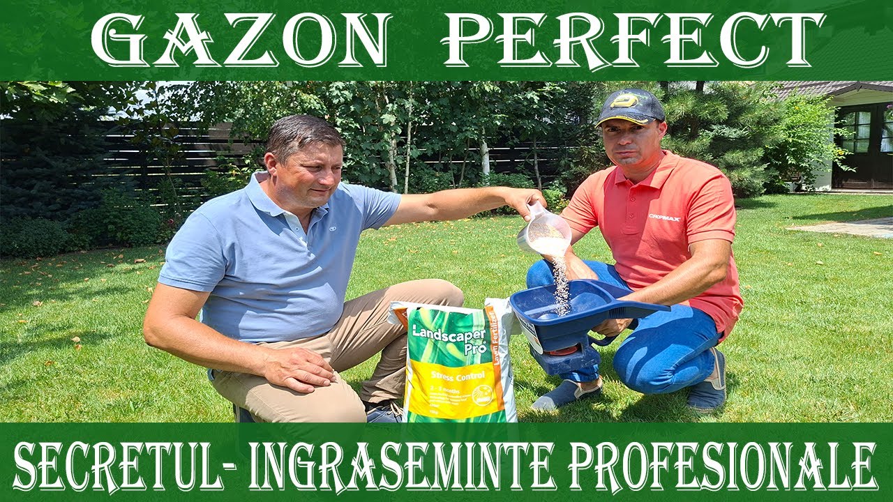 Cum sa ai un gazon verde si sanatos? Ingrasamintele profesionale - Secretele intretinerii corecte
