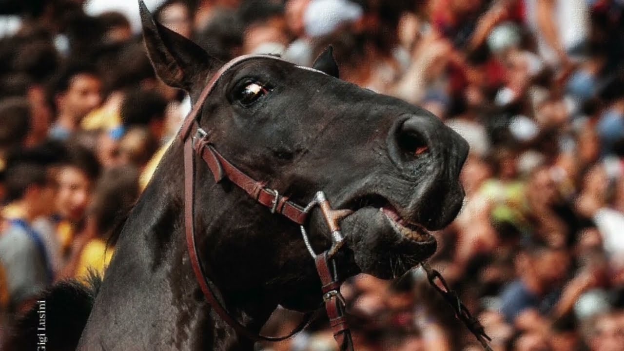 L'ultimo Palio