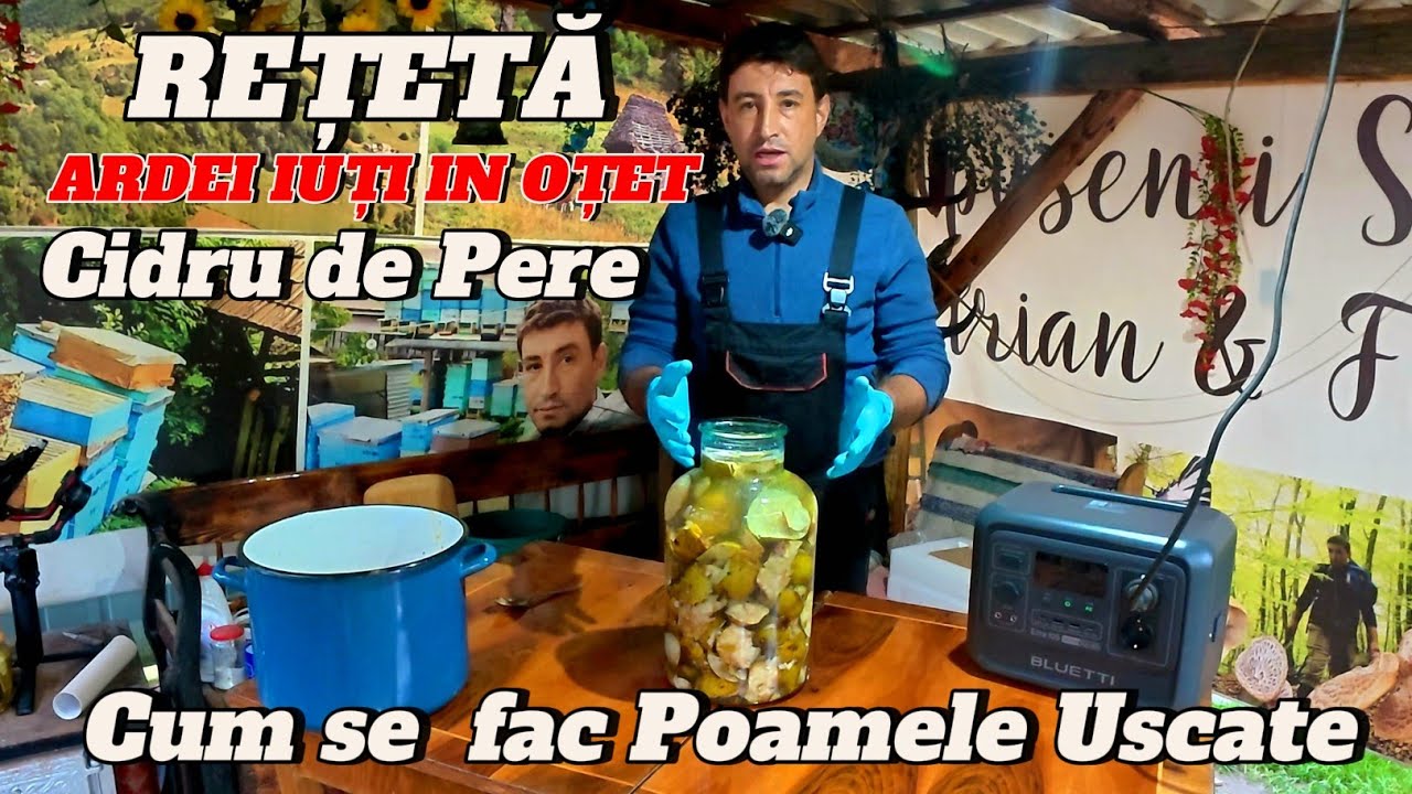 TOAMNA ÎN MUNȚII APUSENI 🍎 PREGĂTIRI PENTRU IARNĂ – USCĂM POAME ȘI FACEM CIDRU | EP. 62