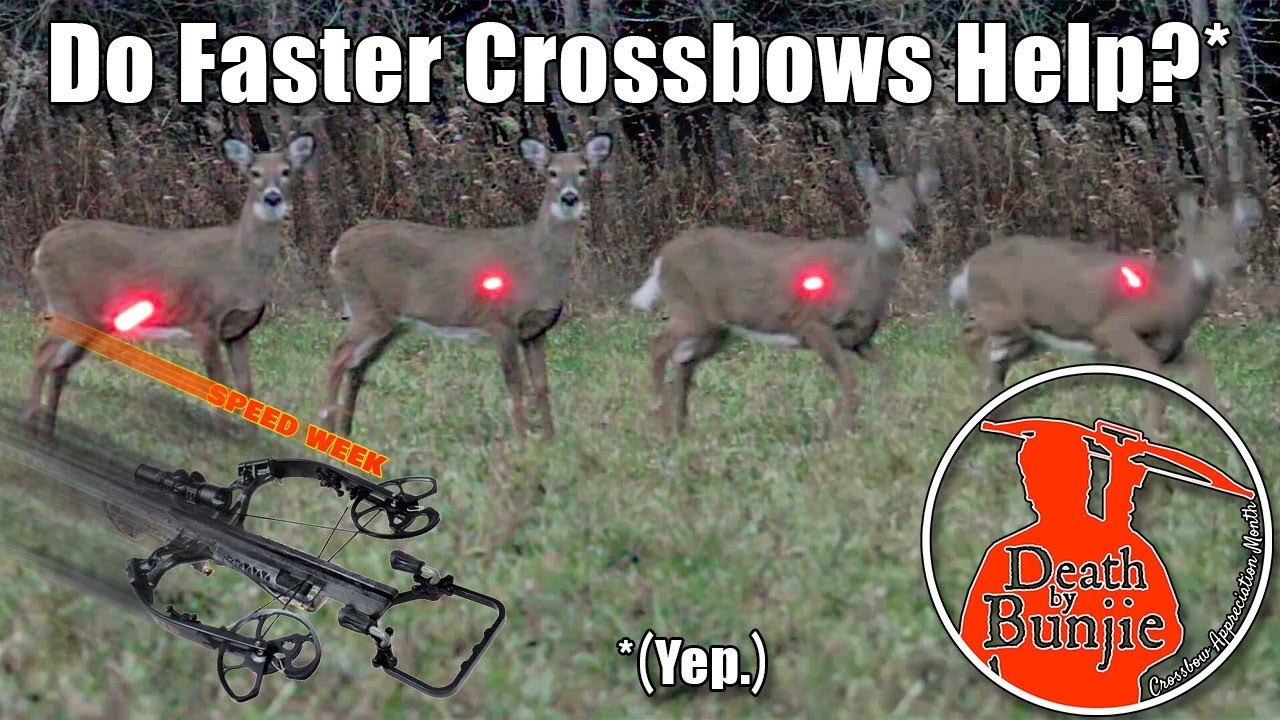 Jumping the String | Research to Improve CROSSBOW Hunting Success!