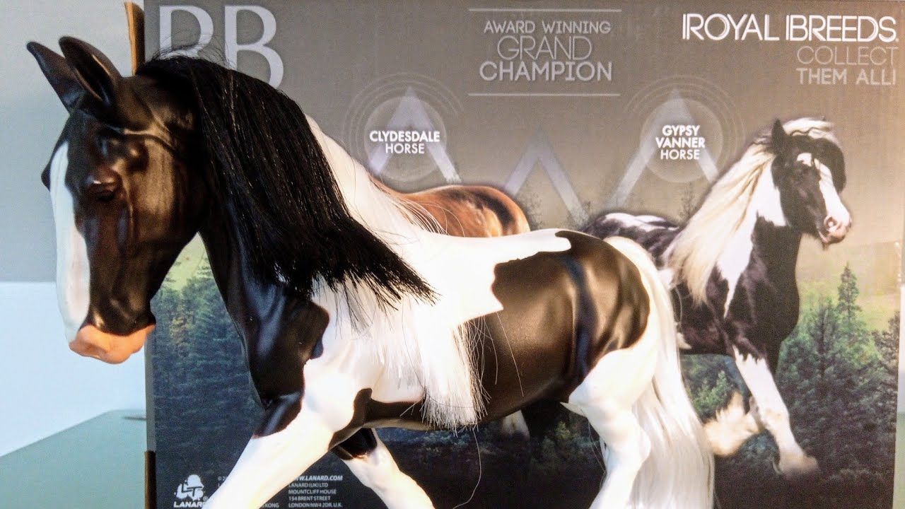 Grand Champion Gipsy Vanner (Royal Breeds) - unpacking video