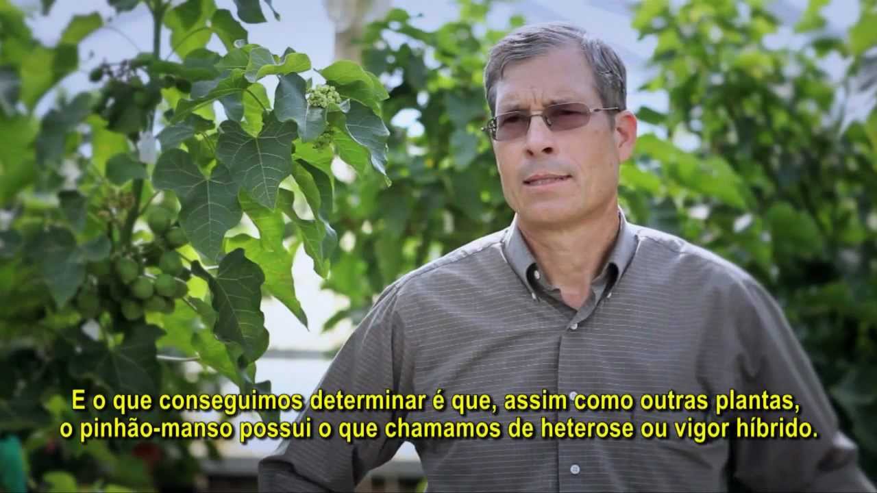 SG Biofuels - Pinh&atilde;o-manso (legendas em Portugu&ecirc;s/Portuguese Subtitles)