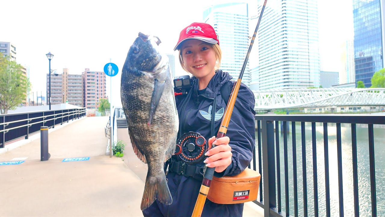 [ヘチ釣り] 黒鯛工房いぶし銀シリーズで釣る！【朝潮運河】 #ヘチ釣り #釣りガール
