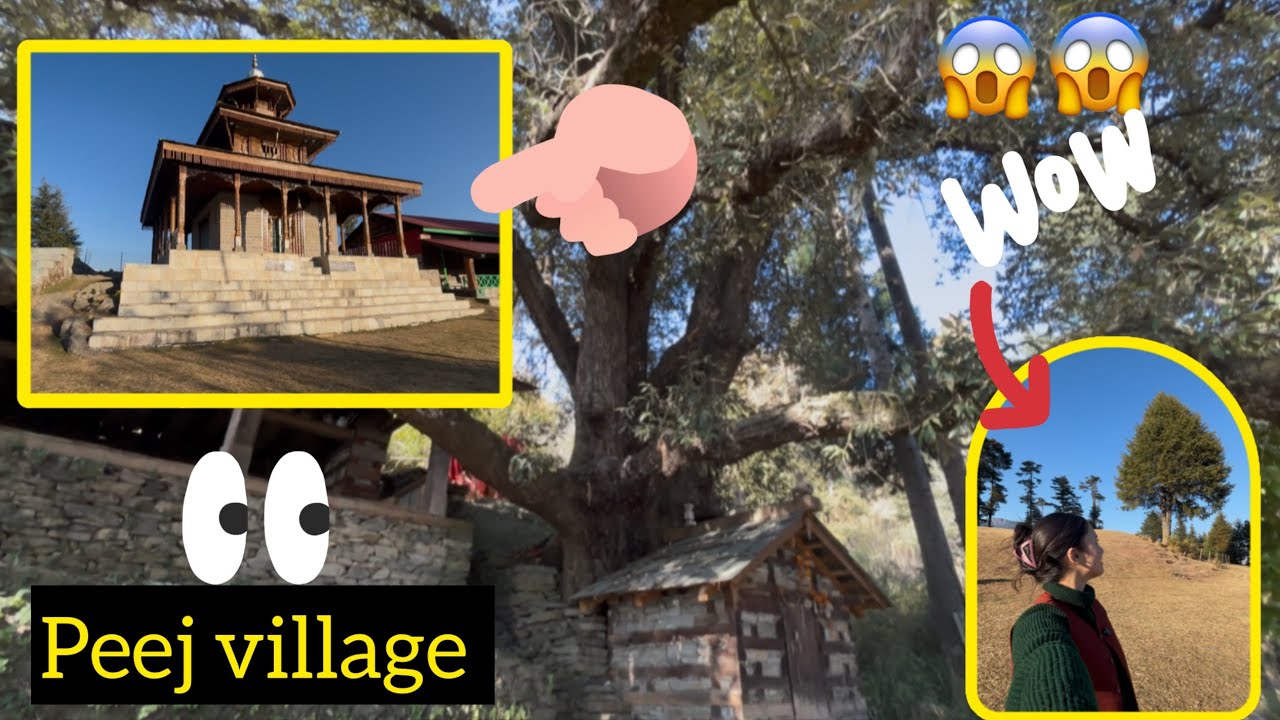 My village Peej 💐 // Jamdagni Rishi temple Peej 