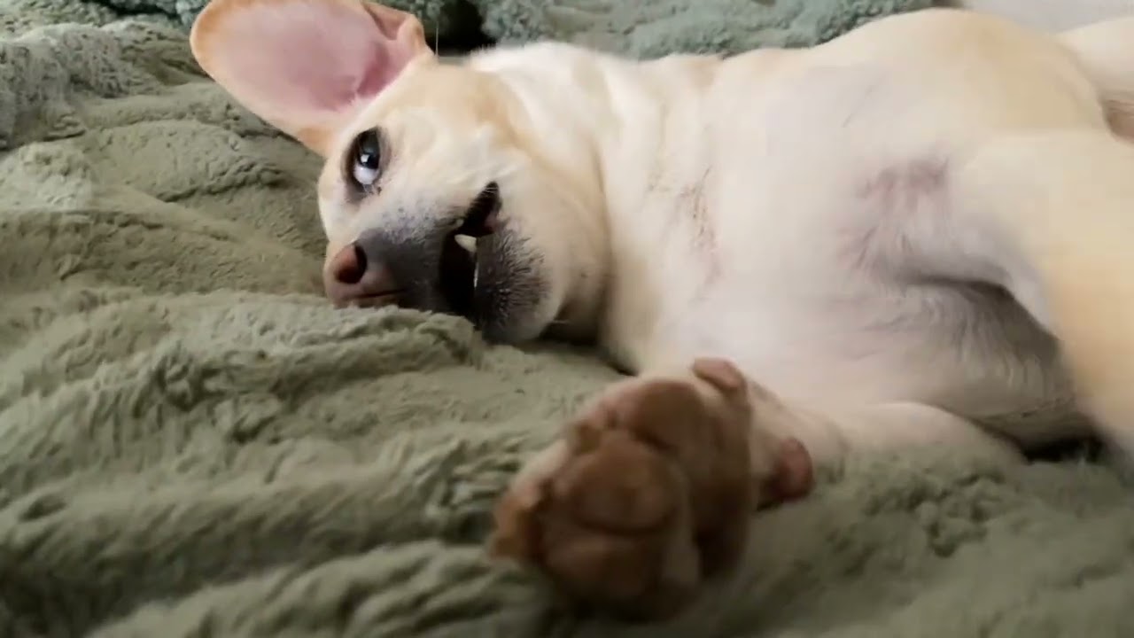 asmr camera touching