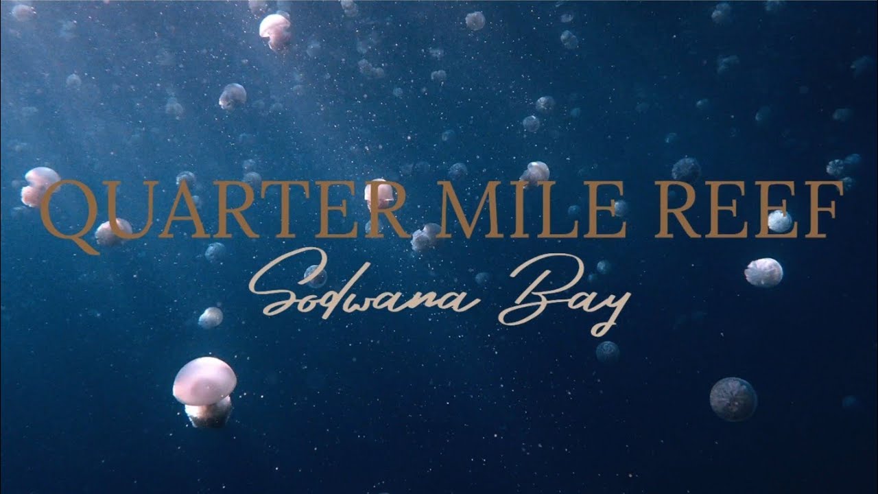 Sodwana Bay: Quarter Mile Reef