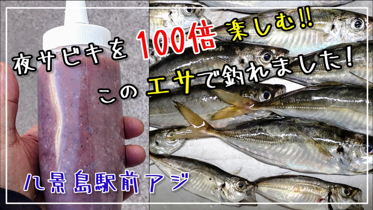 【夜釣りで100倍楽しむサビキ釣り】エサの基本のアミエビにコレを足して‼アジ攻略!!