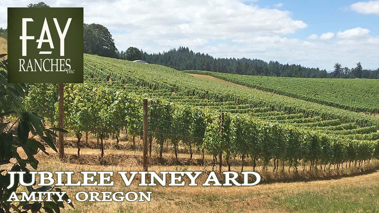 Oregon Vineyard For Sale | Jubilee Vineyard | Amity, Oregon