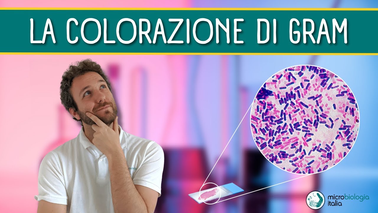 La Colorazione di GRAM