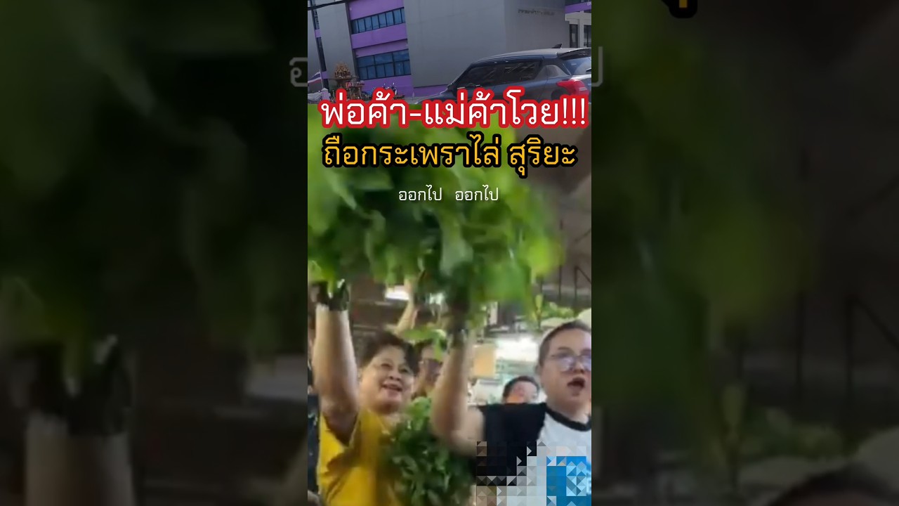 🔥พ่อค้าแม่ค้าโวยถือกระเพราไล่ให้ออกไป #จดลิขสิทธิ์ใบกระเพรา #ข่าววันนี้ #ข่าวล่าสุด