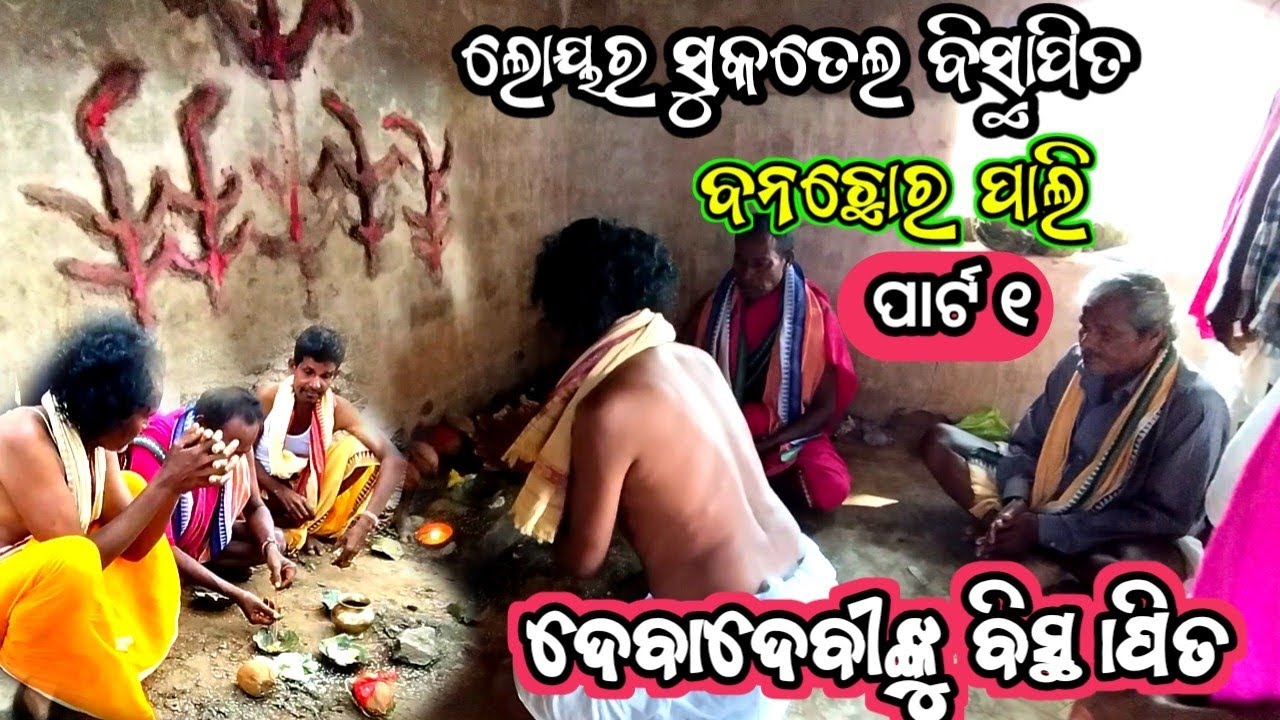 BANCHHOR PALI LOWER SUKTEL BISTAPIT DEBA DEVI VIDEO ll ବନଛୋର ପାଲି ଗାଁ ଦେବାଦେବୀ ବିସ୍ଥାପିତ ପାର୍ଟ ୧ ।।