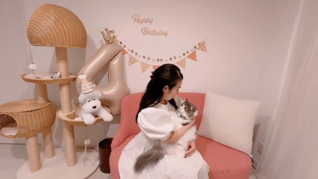箱入りねこ、4歳のお誕生日祝い｜#vol13