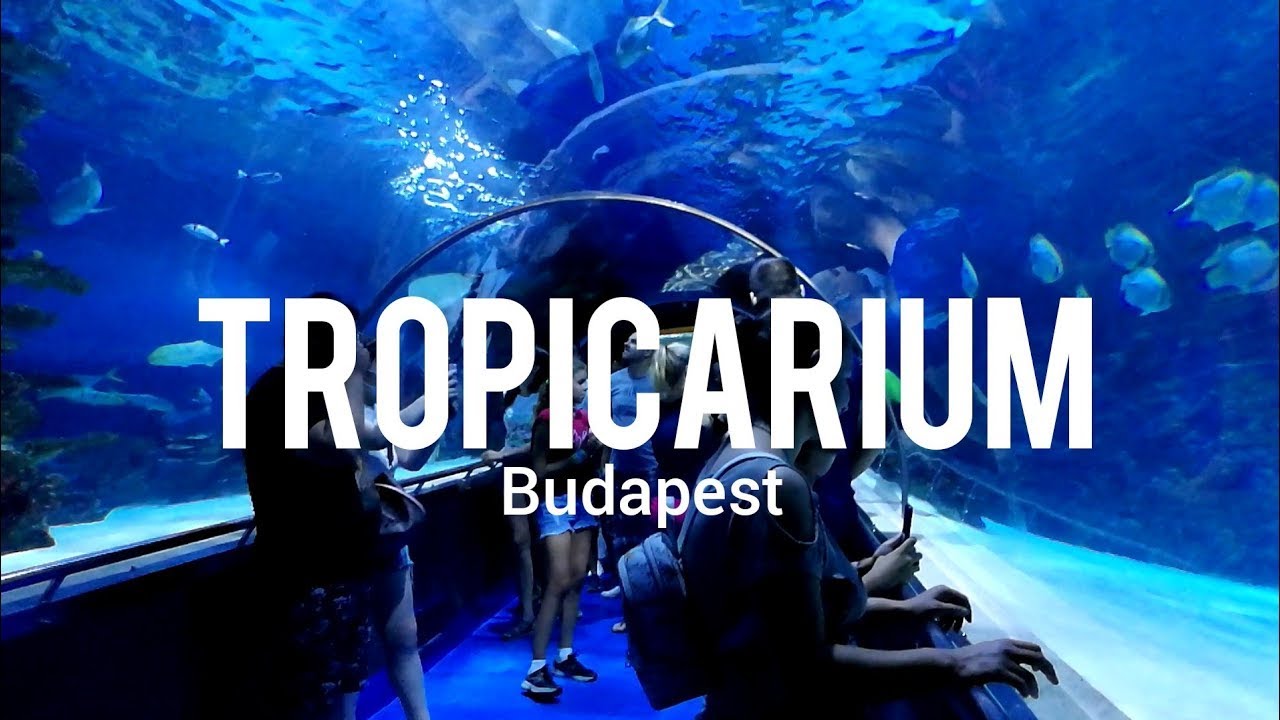 Tropicarium - Budapest