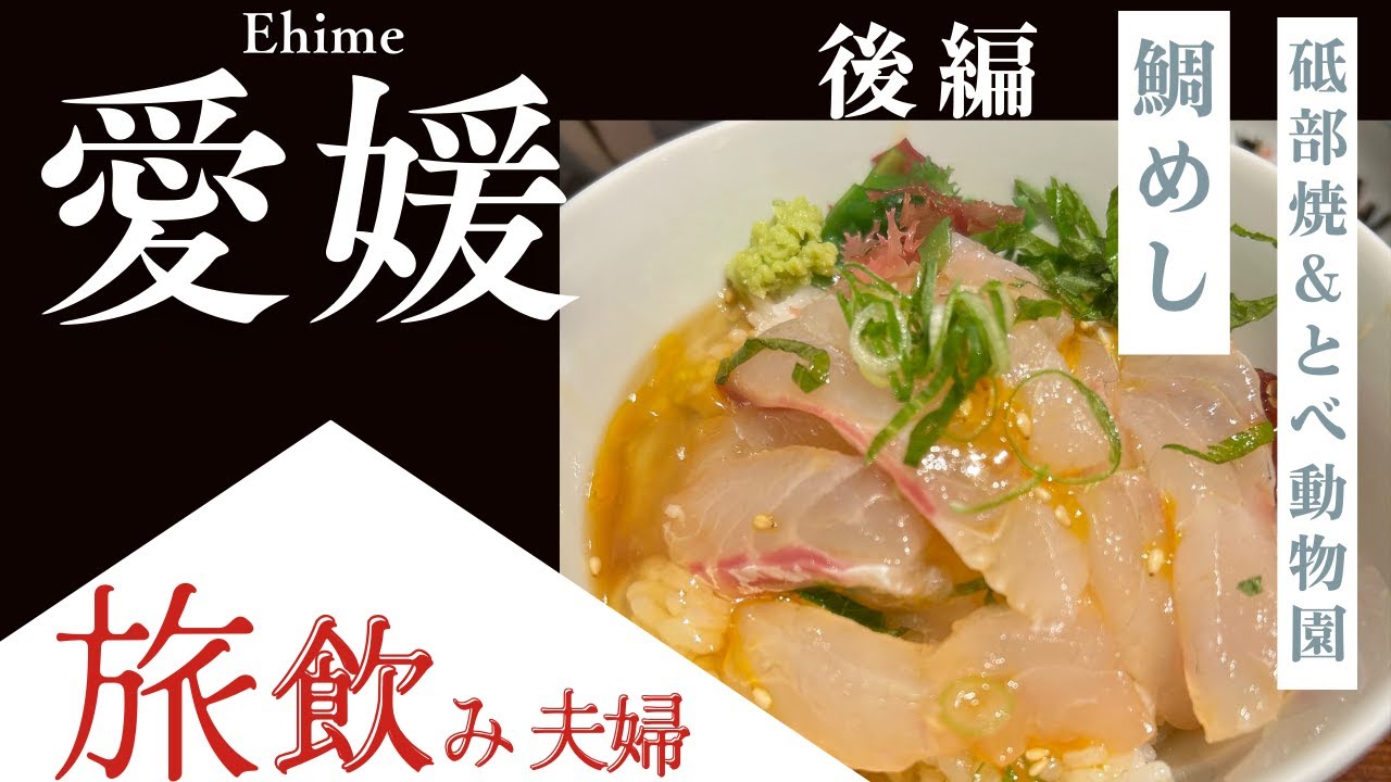 【愛媛後編】道後温泉で宇和島鯛めし！砥部焼の絵付け＆とべ動物園！絶品グルメと観光を満喫する旅飲み！
