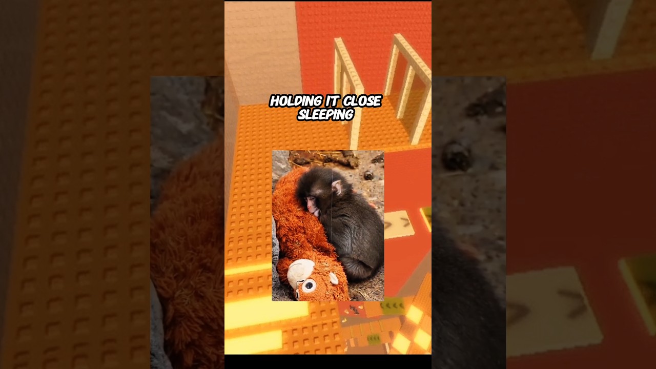 Baby Monkey Punch 🥹 #roblox #shorts