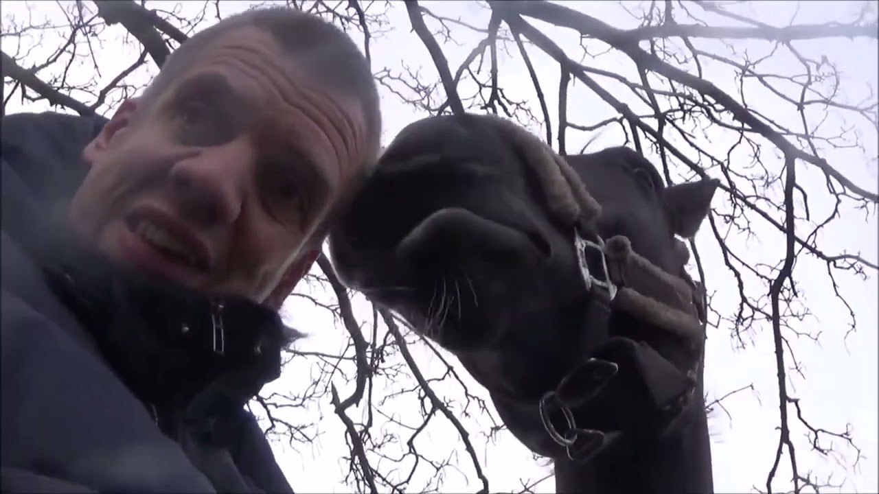 Another horsevlog video