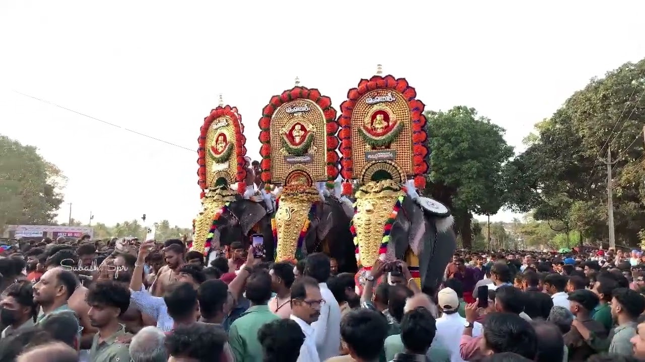 Chalisseri Pooram 2026#pooram #pooramvibes #chalissery #pooram2026 