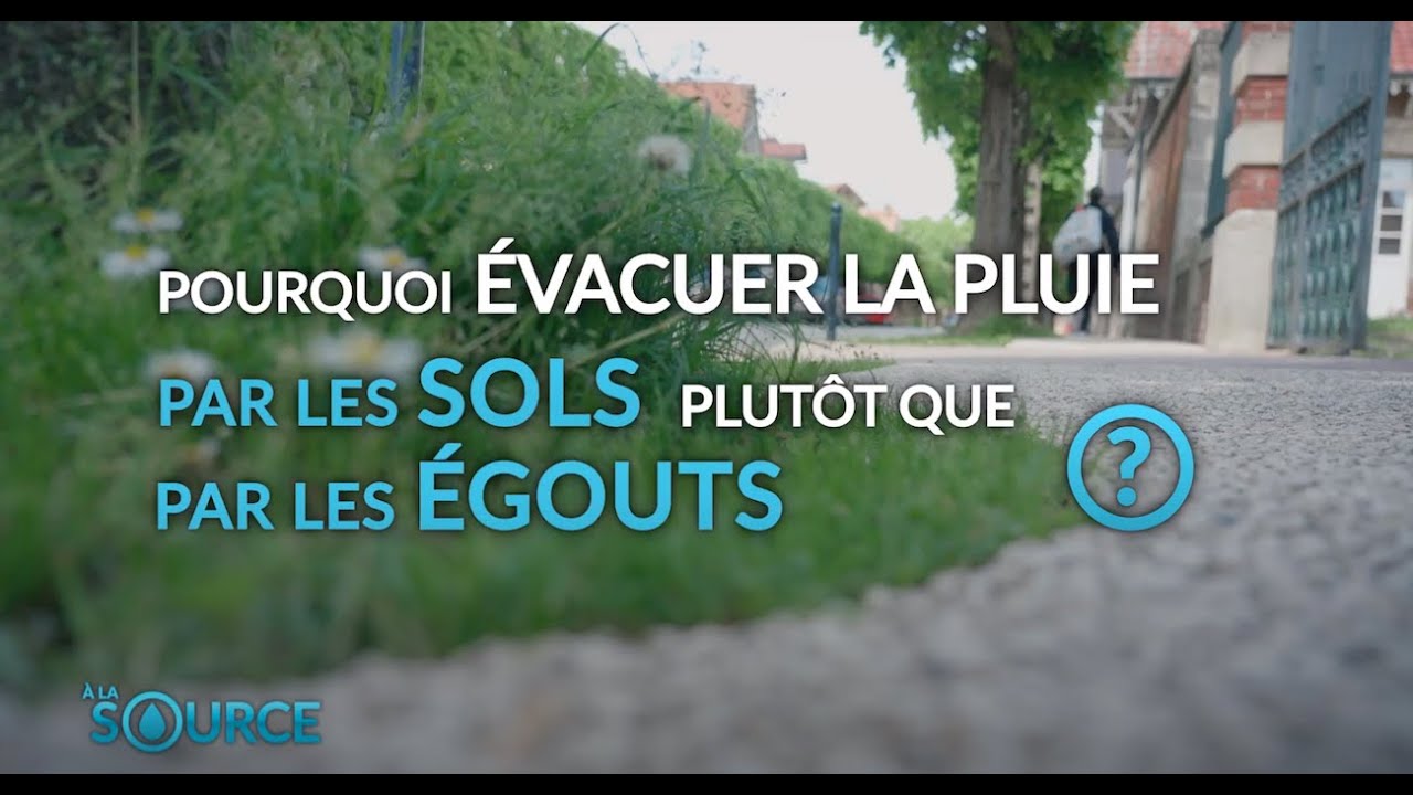 [À la source] Pourquoi évacuer la pluie par les sols plutôt que par les égouts ?