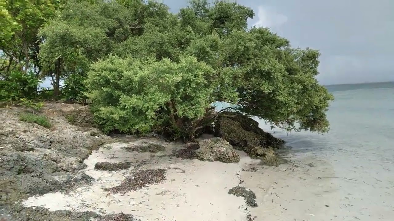 Gak-Ang Island, Panglao, Bohol