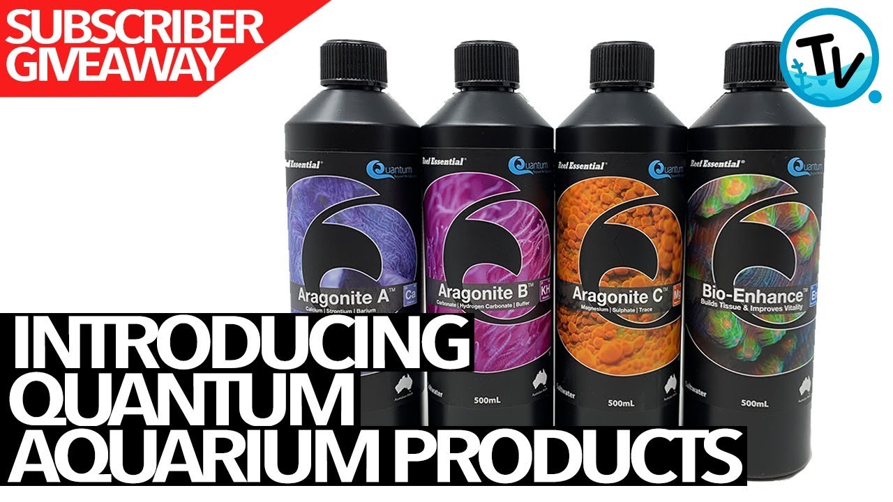 CHTV Introduce Quantum Aquarium Products