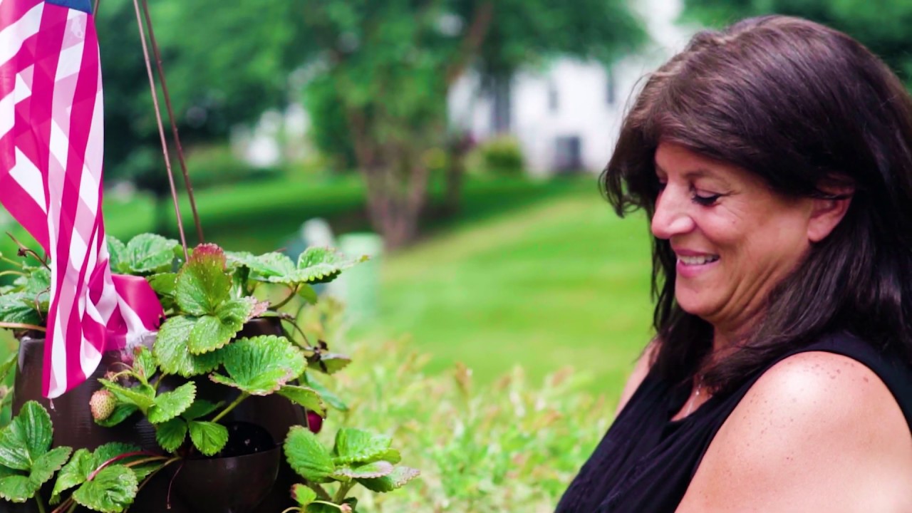 Cannabis and Chronic Pain, stories from The Medical Cannabis Community
