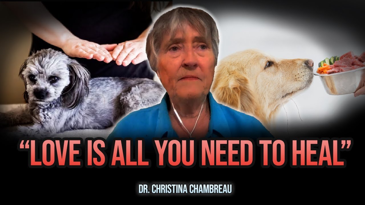 Is Holistic Pet Care Really Sustainable? | Gussy's Gut
