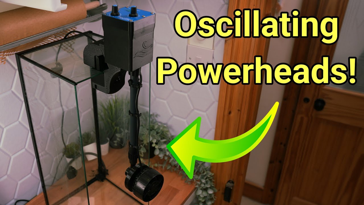 Product Showcase: Ocean Sea Wave Oscillating Powerheads!
