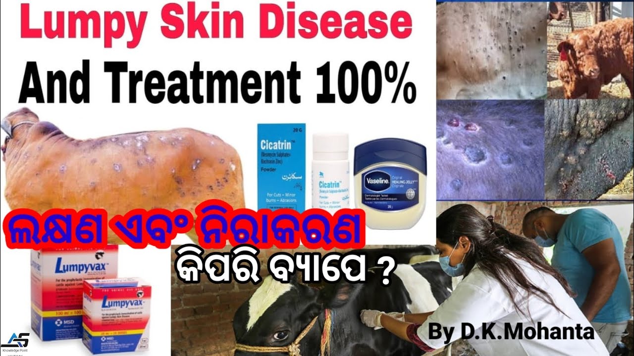 Lumpy Skin Disease (LSD) Cause, Symptoms,Treatment ll Lumpy Virus,ADS KNOWLEDGE POINT/By D.K.Mohanta