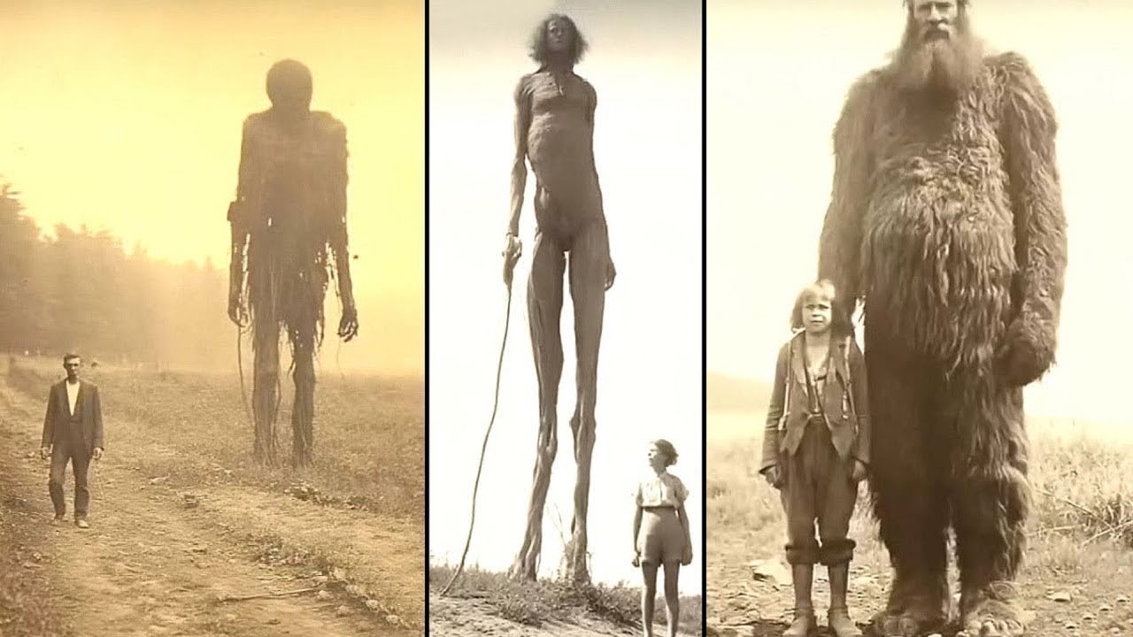 10 Géants Humains Qui Existent Vraiment