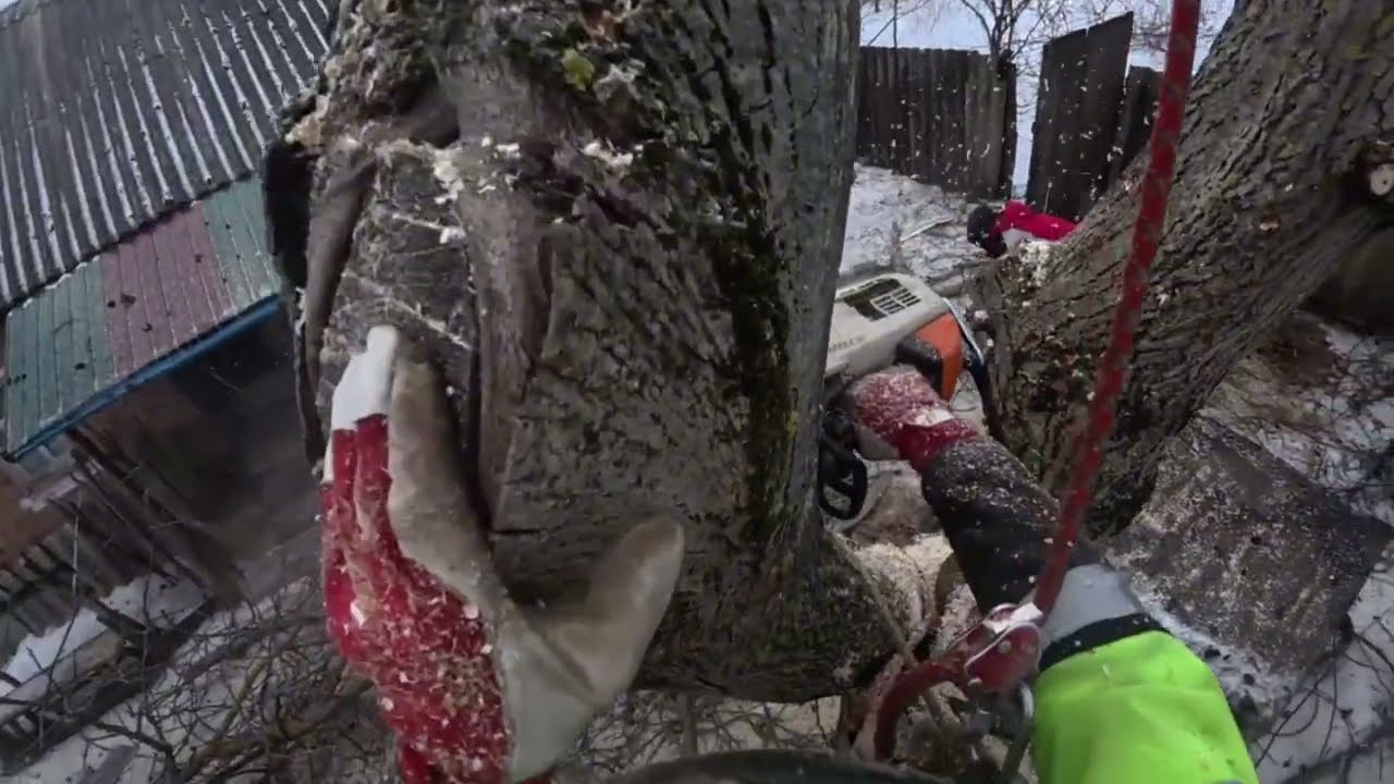 Challenging Walnut Removal in a Tight Space – GoPro POV