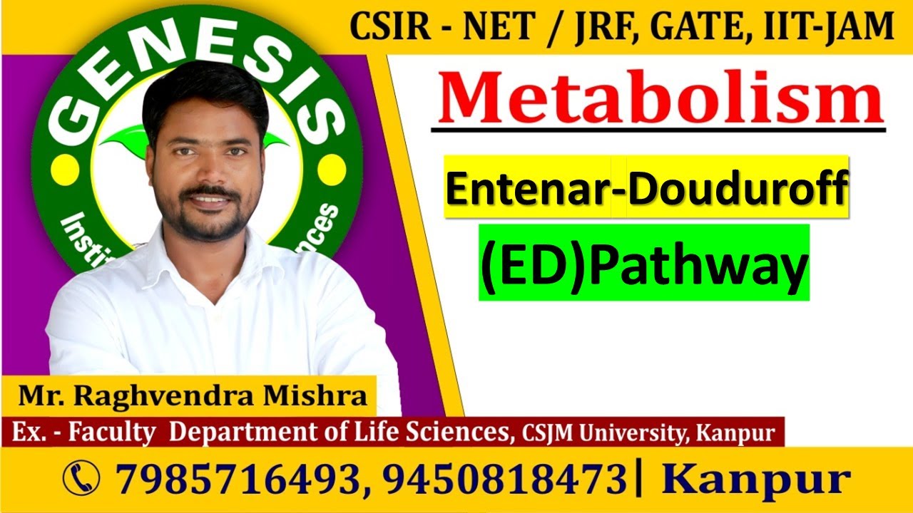 Entner-doudoroff pathway |Metabolism | CSIR NET/JRF | GATE | Life science | ICMR| IITJAM