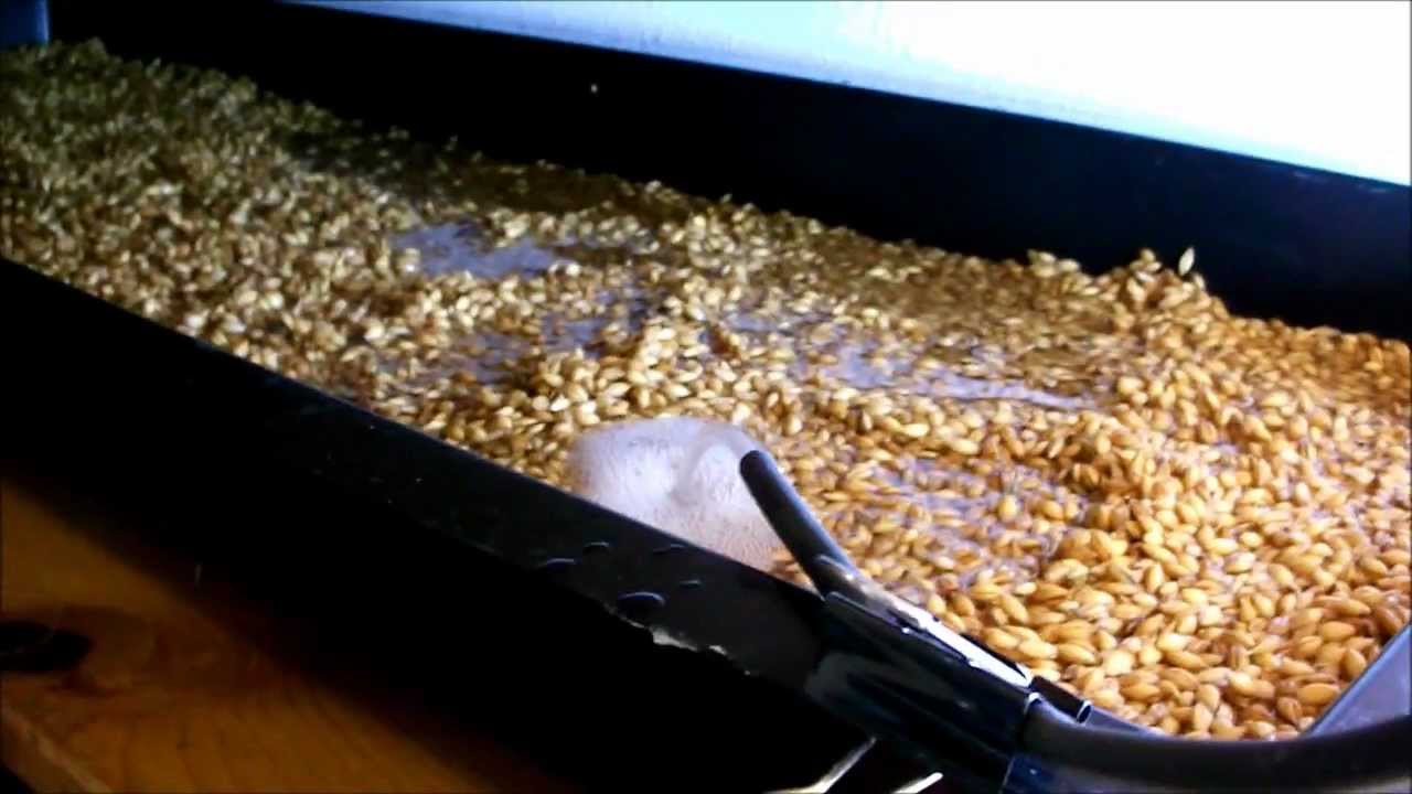 Barley Fodder Trials - New Flood and Drain trays installed