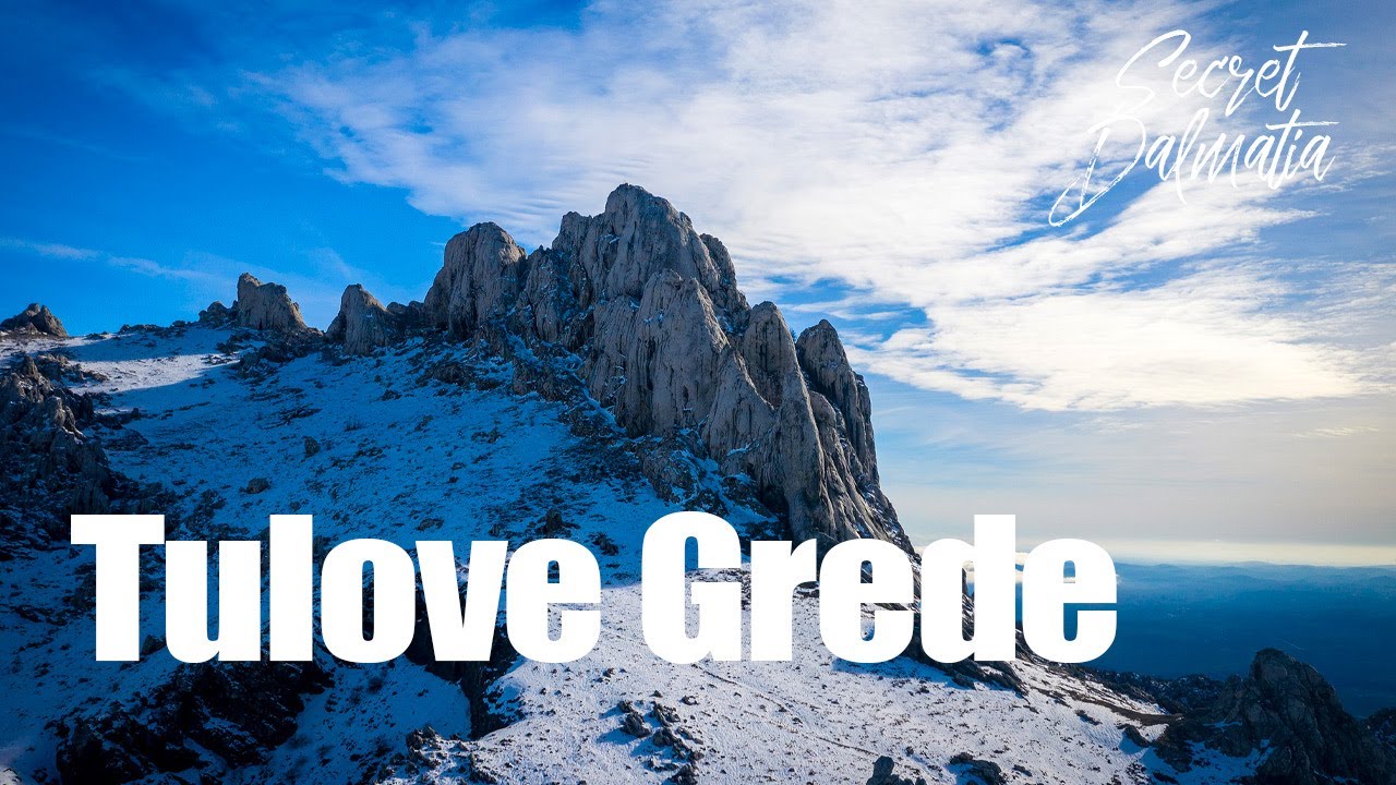Tulove grede in Winter